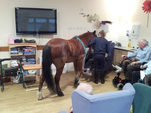 Bentley Court Care Home